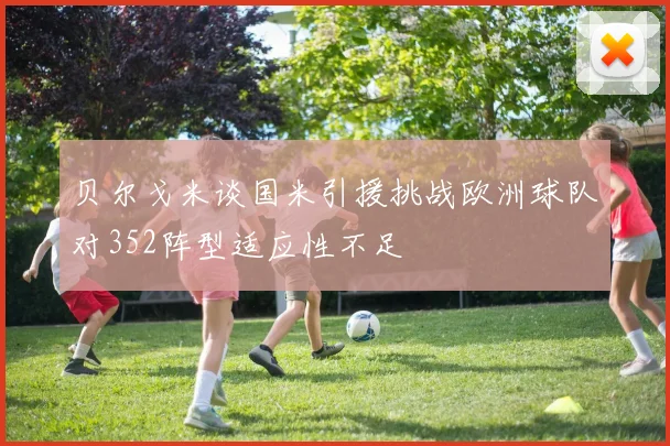 贝尔戈米谈国米引援挑战欧洲球队对352阵型适应性不足