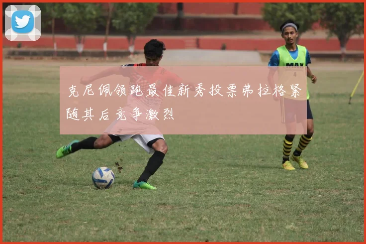 克尼佩领跑最佳新秀投票弗拉格紧随其后竞争激烈