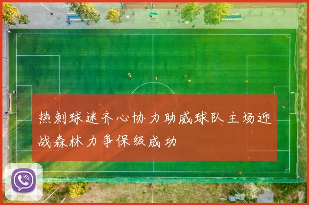 热刺球迷齐心协力助威球队主场迎战森林力争保级成功